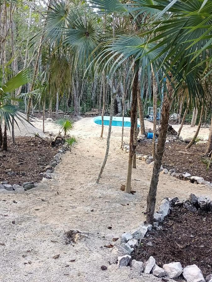 Zil-kaab Hidden Glamping Village Glamping Tulum